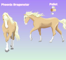 Phoenix Dragonstar Reference Sheet