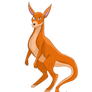 Hoopey the Kangaroo