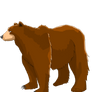 A very chill Bear