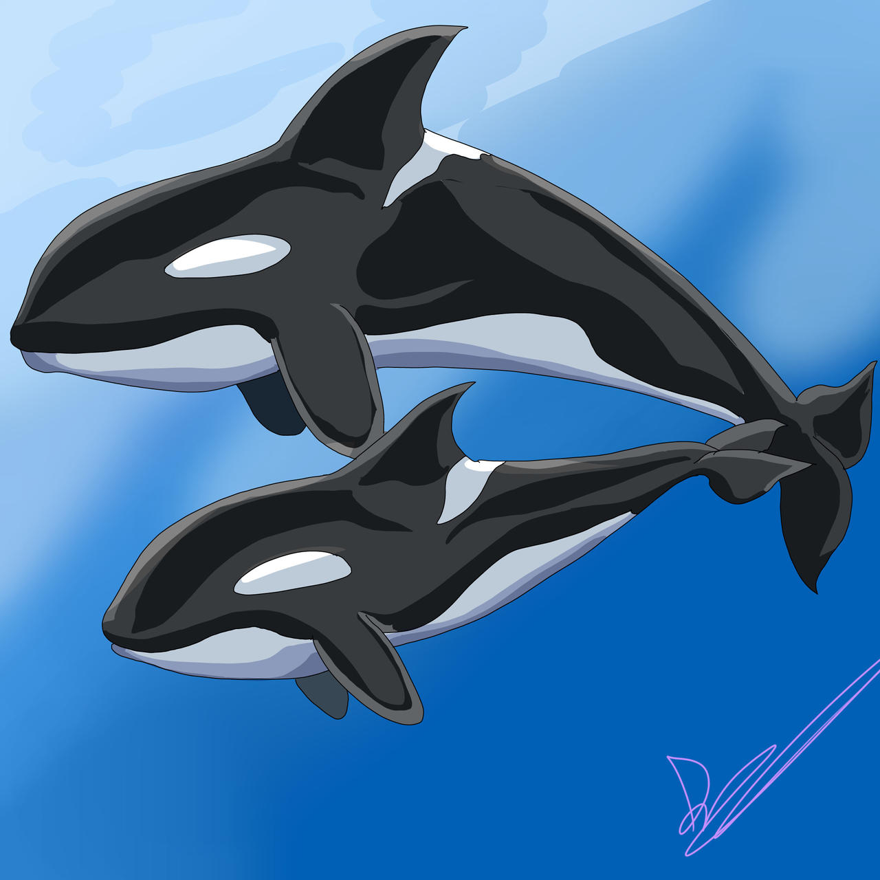 Orca by Deirdre-Magica on DeviantArt