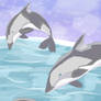 Dolphins