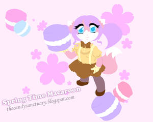 Spring Time Macaroon