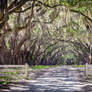 Wormsloe Plantation