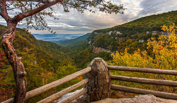 Cloudland Canyon Overlook