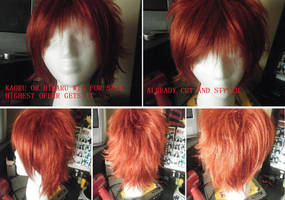 Wig for sale