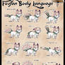 Foxfan Body Language