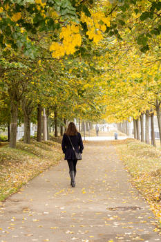 Walking in Autumn