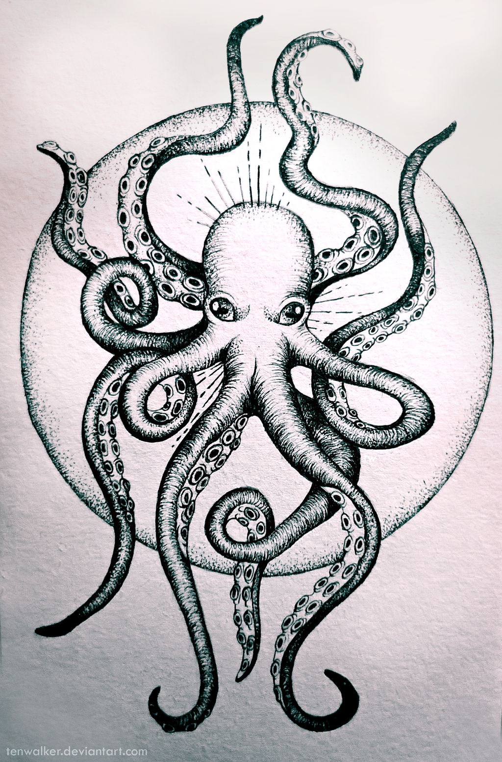 octo