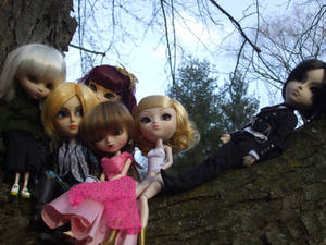 Marine City Doll Club X3