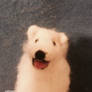 Needle Felted Samoyed