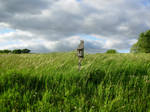 field of green, sky of blue by umennc