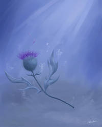 Drowning Thistle