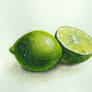 Limes