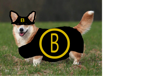 BatCorgi