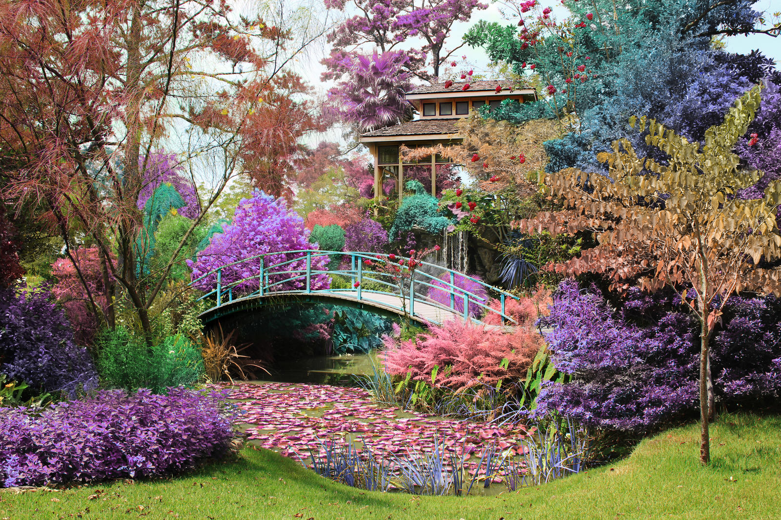 Magical Garden by Vaelz on DeviantArt