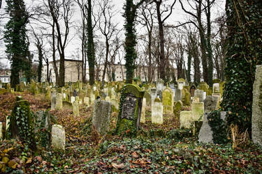 New Jewish Cemetery, Krakow, Poland I