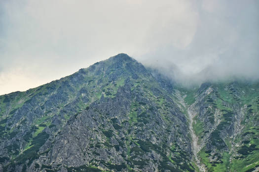 Misty High Tatra mountains II