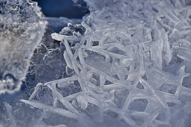 Ice crystals I