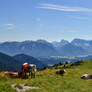 On the mountain top in Bavaria