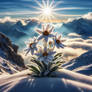 Love the Nature