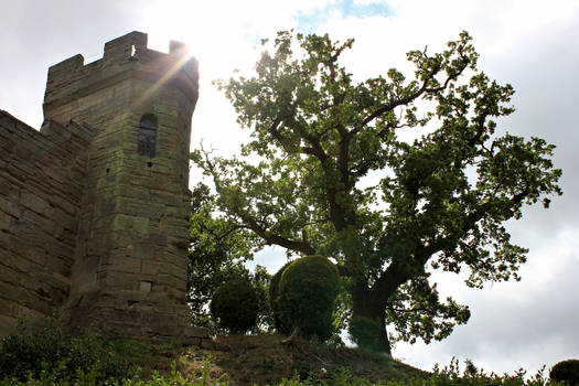 Sunlit Castle