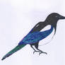 Magpie