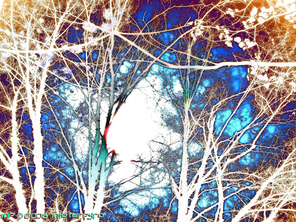 Tree Veins 2 by MisterPyro on DeviantArt