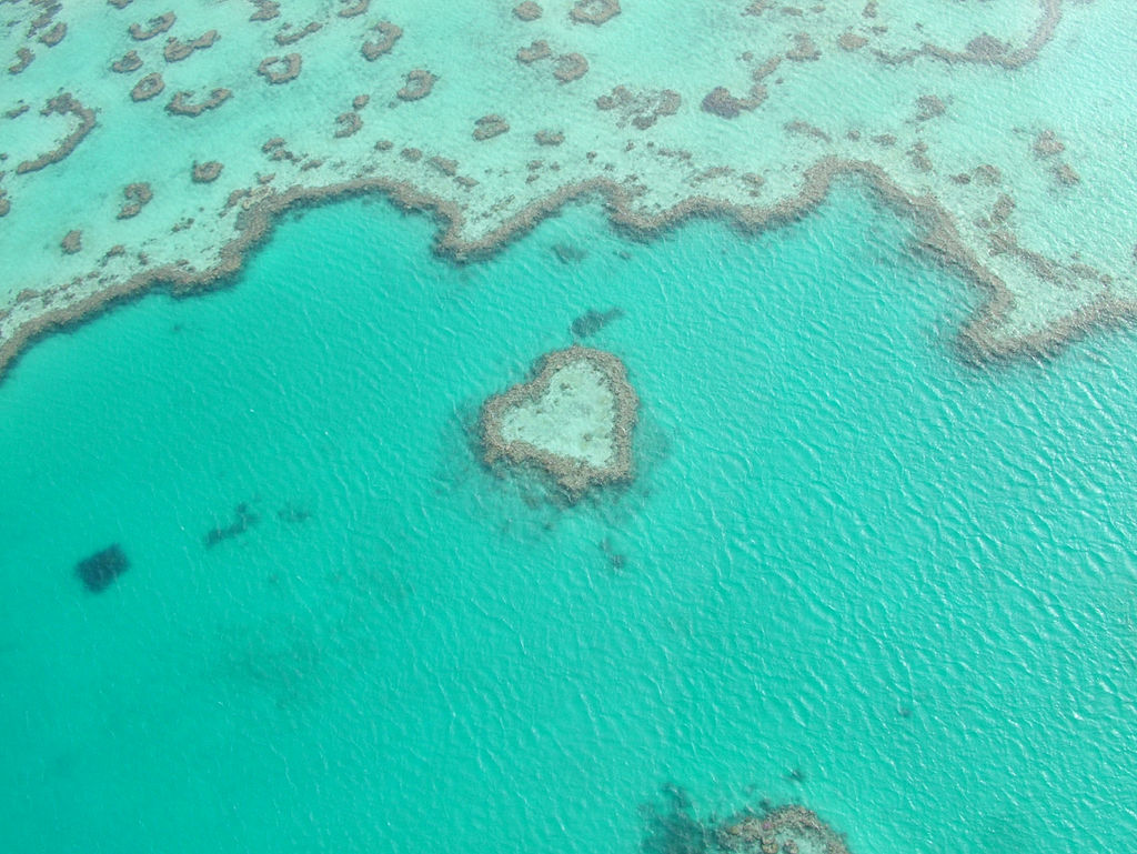 Lover's Reef