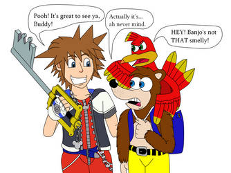 Sora and Banjo