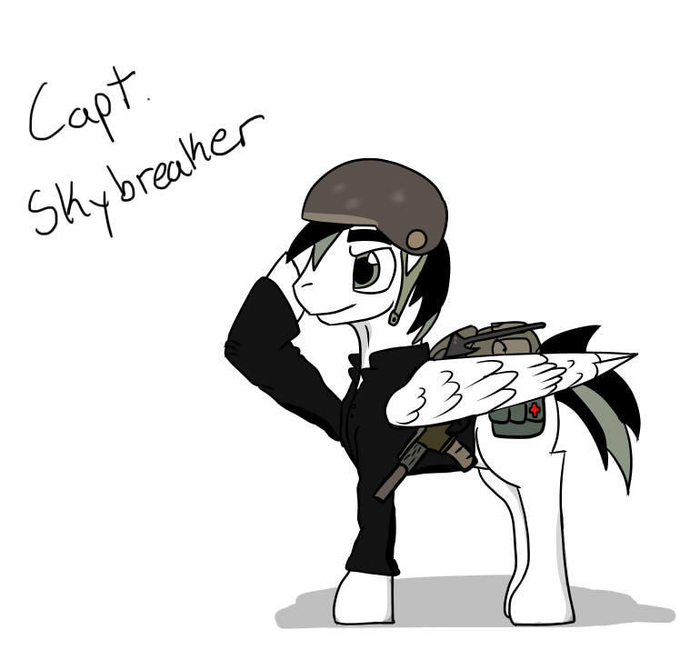 Skybreaker by nevikr1 on DeviantArt