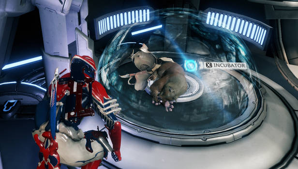 Warframe: Waiting for Baby Kubrow