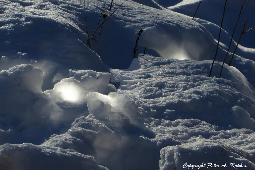 A Snow Oddity