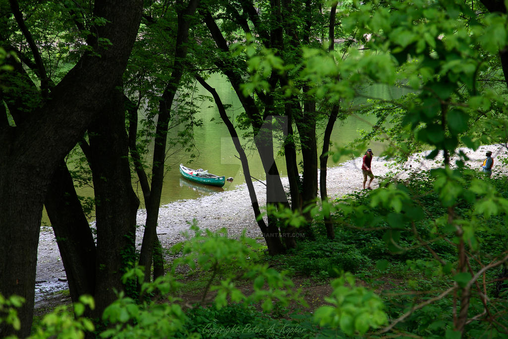 River Bank