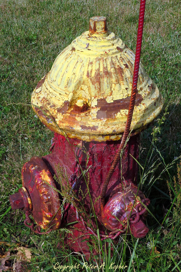 Fireplug copyright