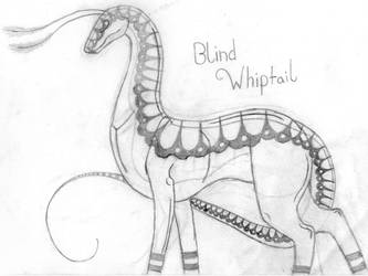 Blind Whiptail