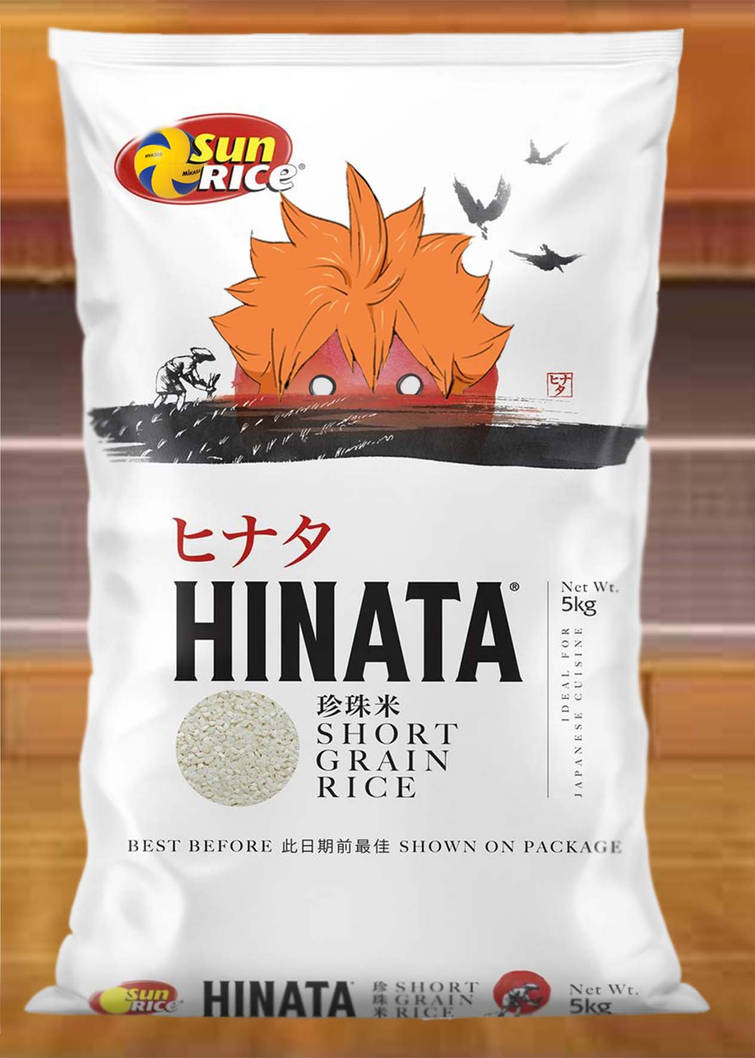 Honata Rice Hinata Rice by nomiins on DeviantArt