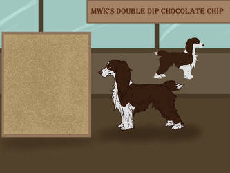 MWK's Double Dip Chocolate Chip 