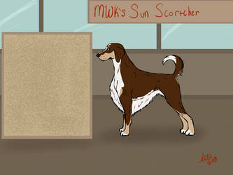 MWK's Sun Scortcher 