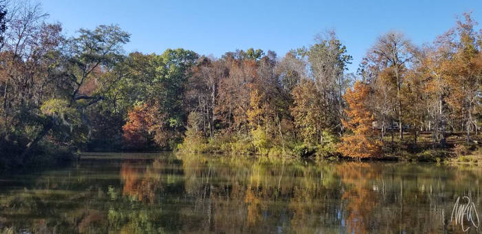 Fall waterfront @ Alabama River, AL