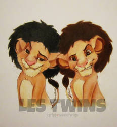 lions les twins