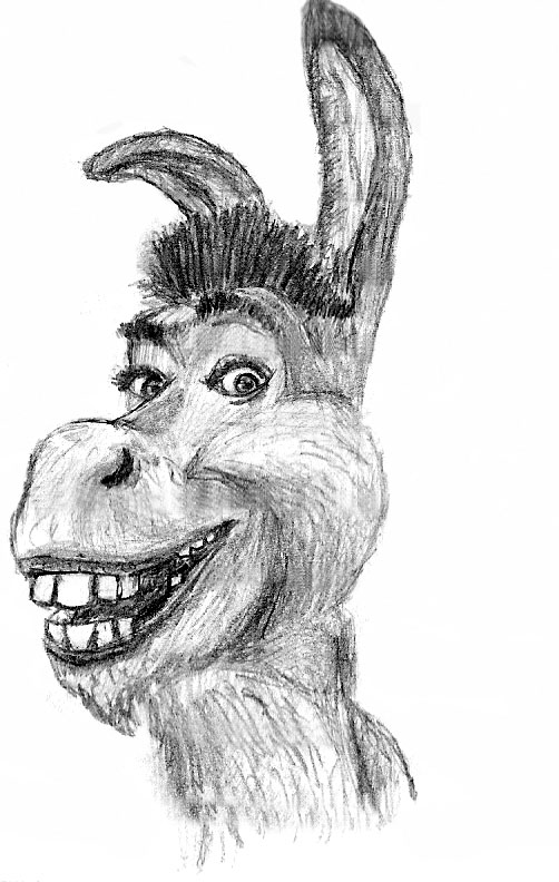 Donkey from Shrek by susiesan on DeviantArt.