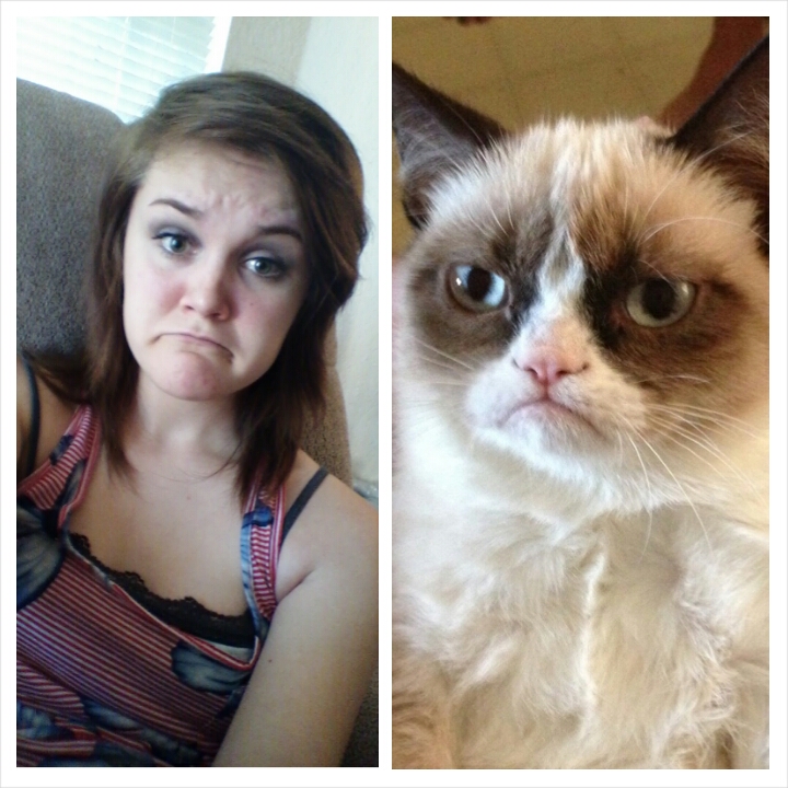 Grumpy Kat vs Grumpy Cat