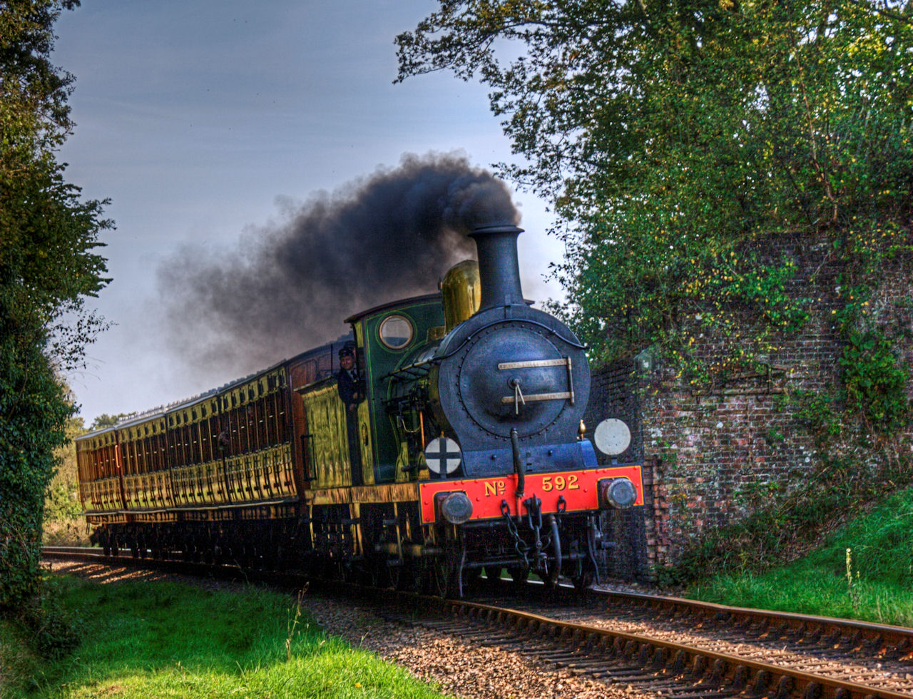 Bluebell 592 By Horseywilks On DeviantArt bluebell-592-by-horseywilks-on-deviantart