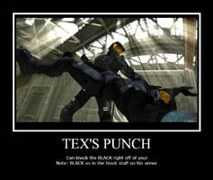 Tex's Punch