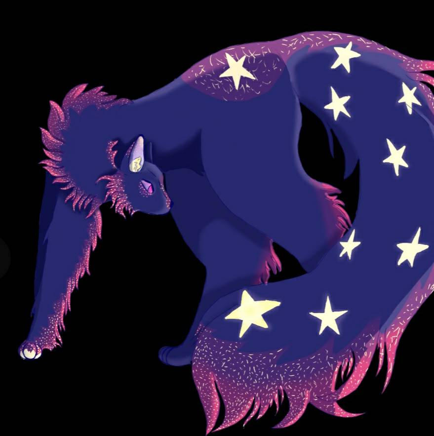 Star Cat Color Star cat by lazy-daizy on DeviantArt