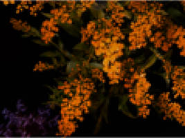 PixelArt - Orange and purple flowers