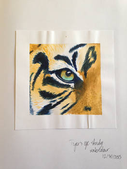 Tiger Eye Watercolour Study