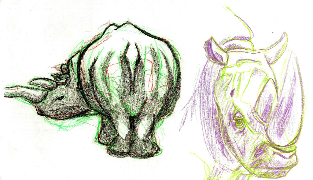 The Rhino by tasumwalt on DeviantArt
