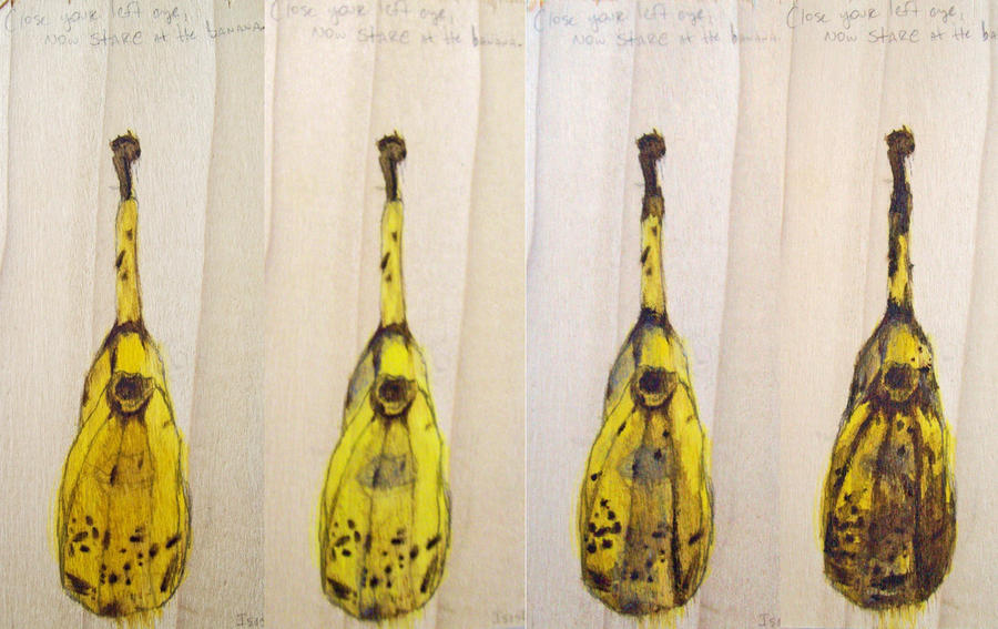 Banana Evolution Visual Banana Progression by psychoslaphead on DeviantArt
