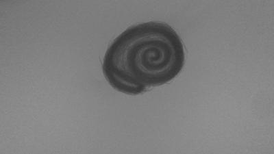 Shell by NotAFurrie on DeviantArt